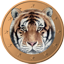 Tigercoin Cryptocurrency